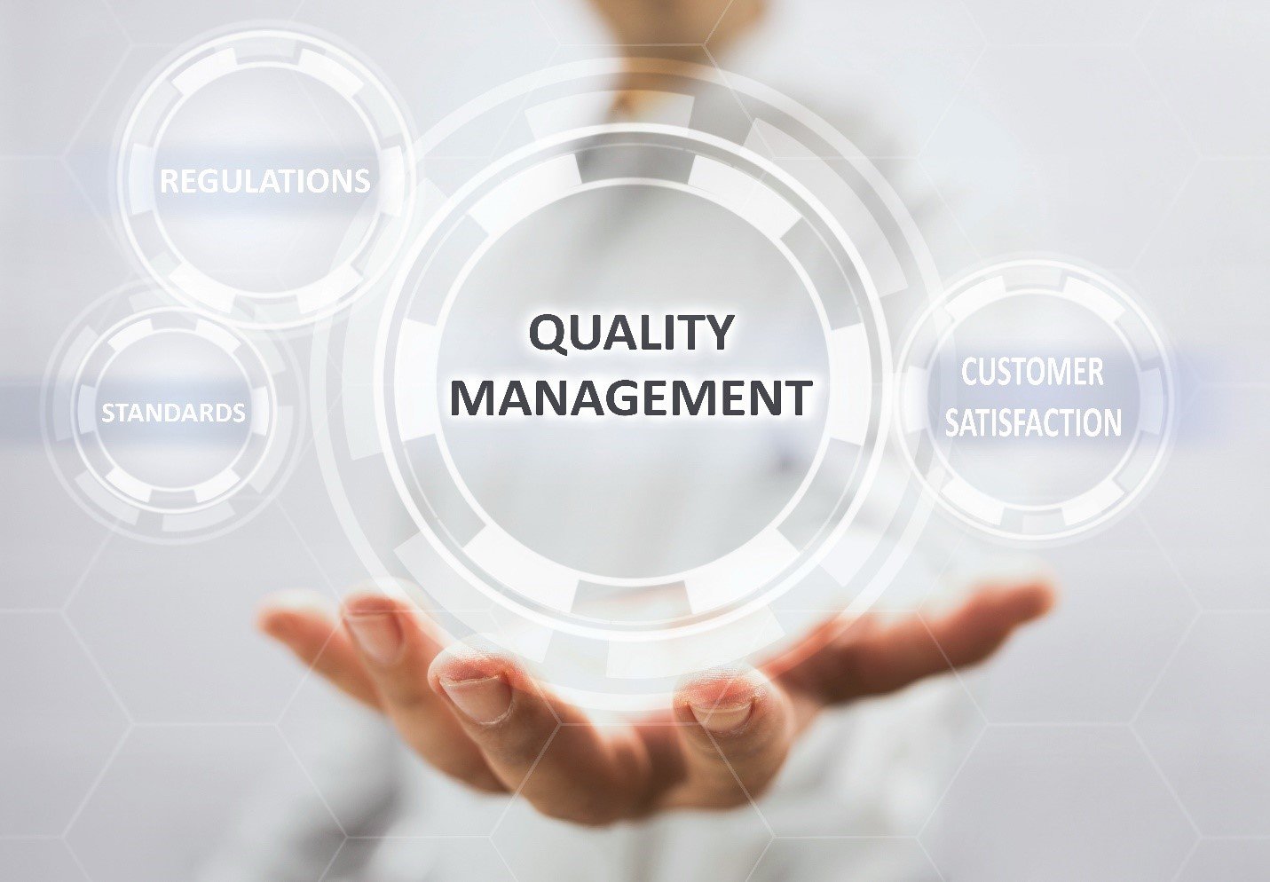 Quality Management consultancy